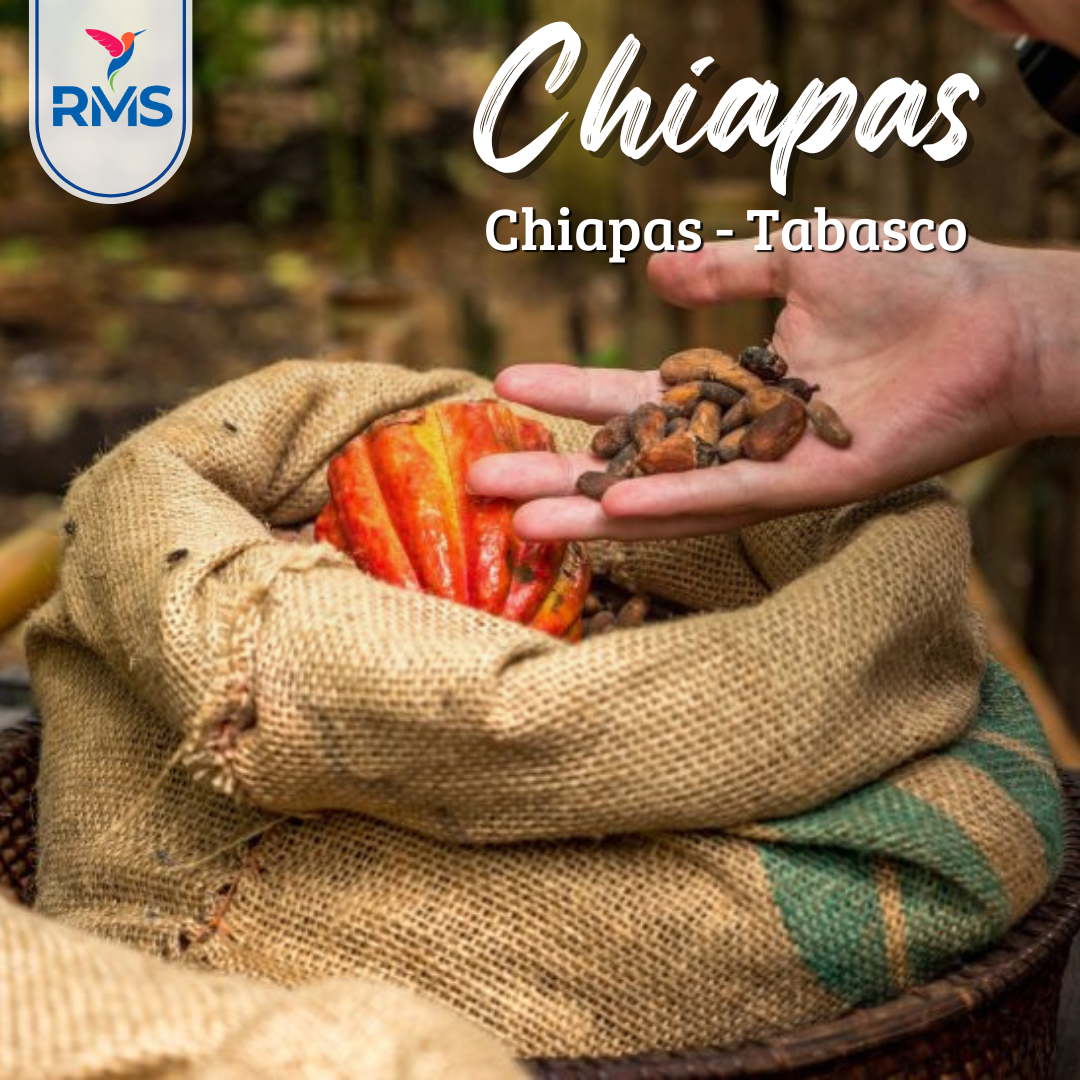 Chiapas y Tabasco