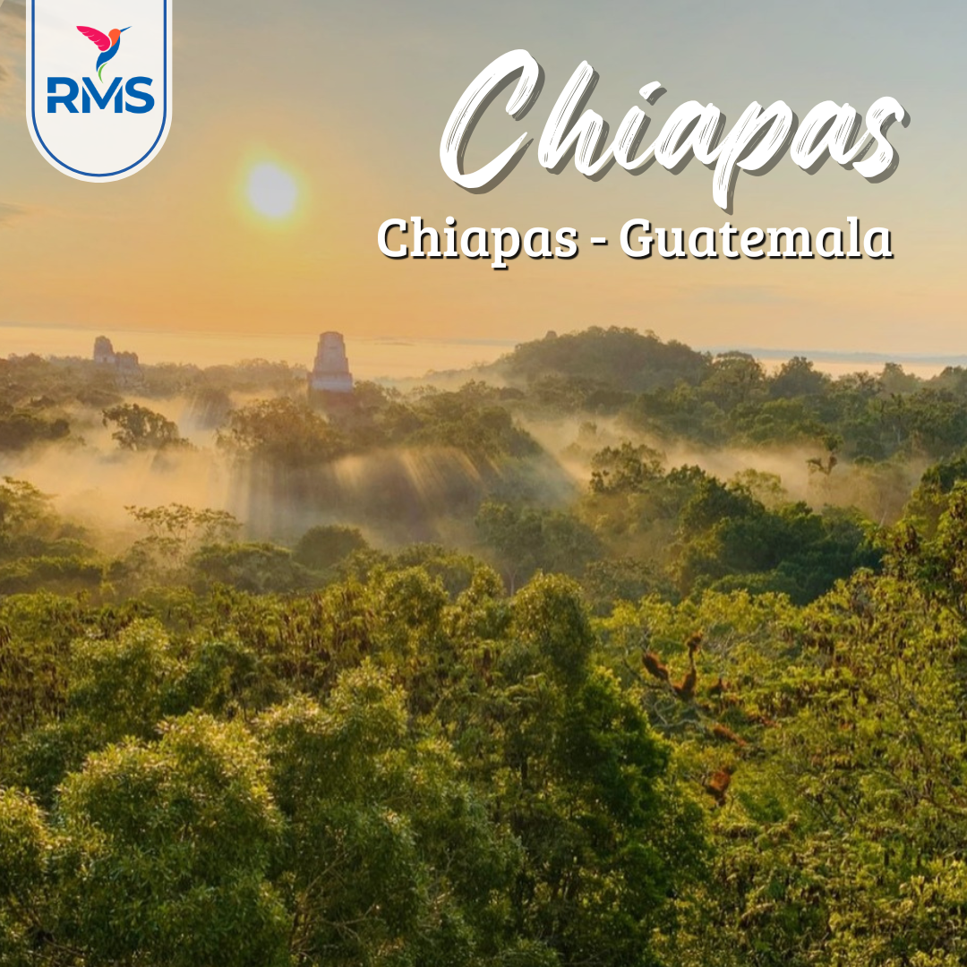 Tikal Guatemala
