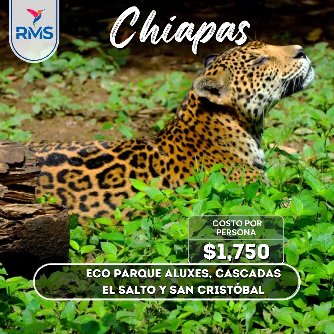 Eco parque Aluxes y Cascada el Salto - San Cristóbal