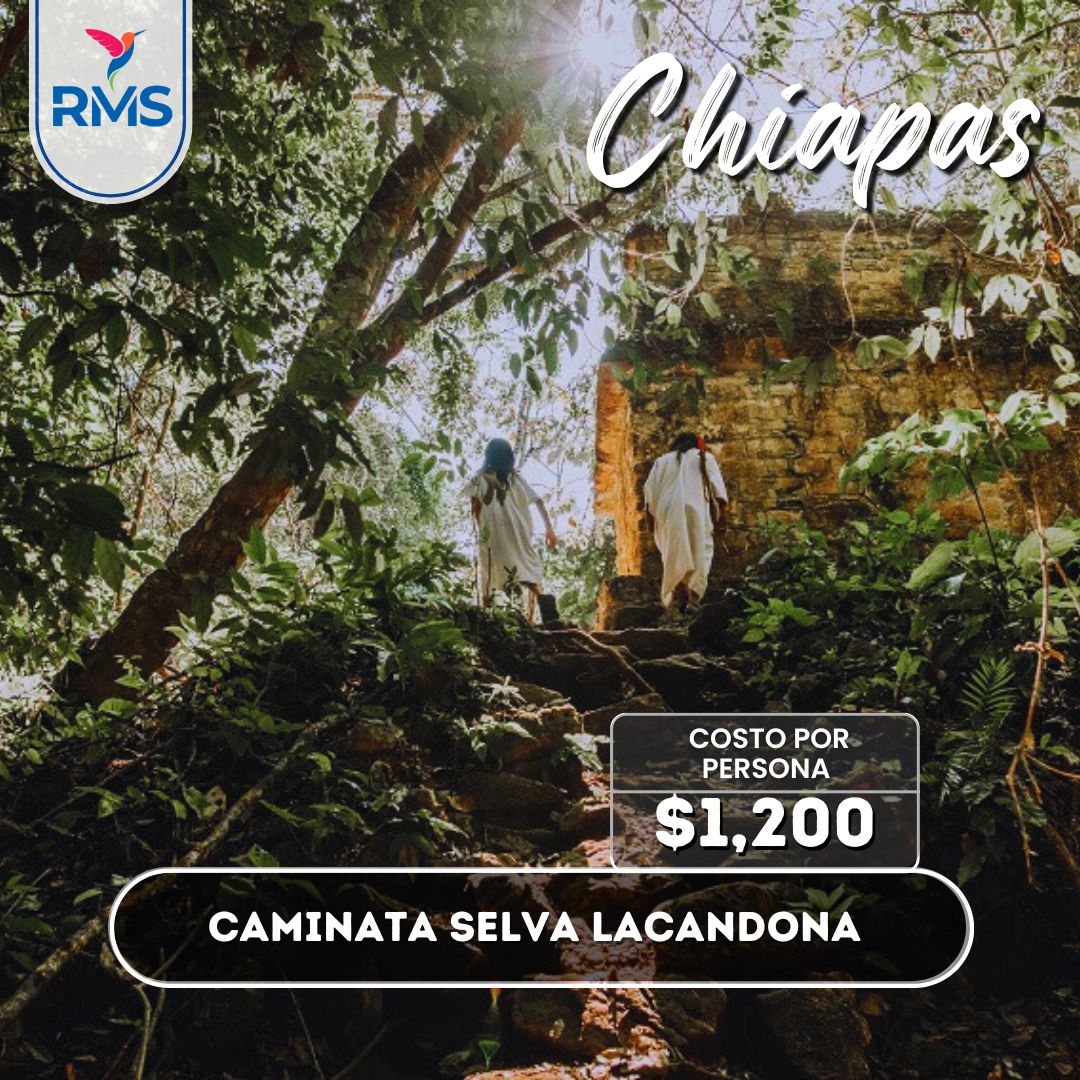 Caminata Selva Lacandona 1 día