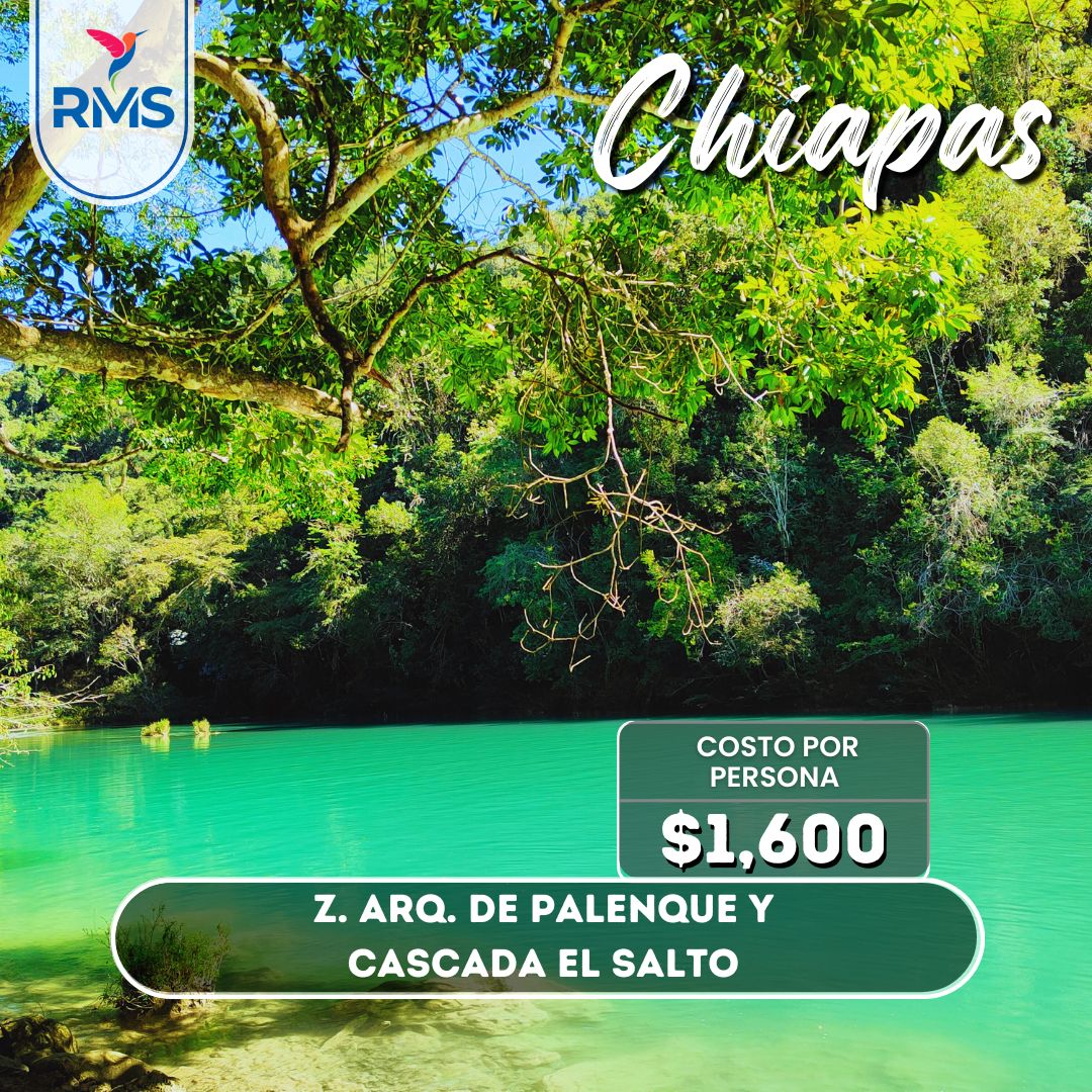 Z.A. de Palenque y Cascada el Salto