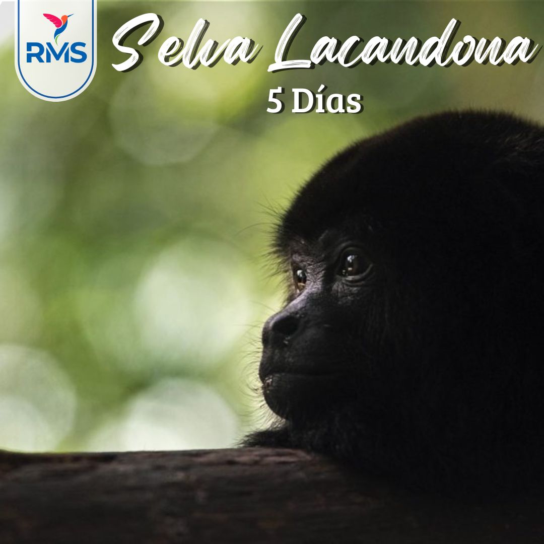 SELVA LACANDONA 5 DIAS