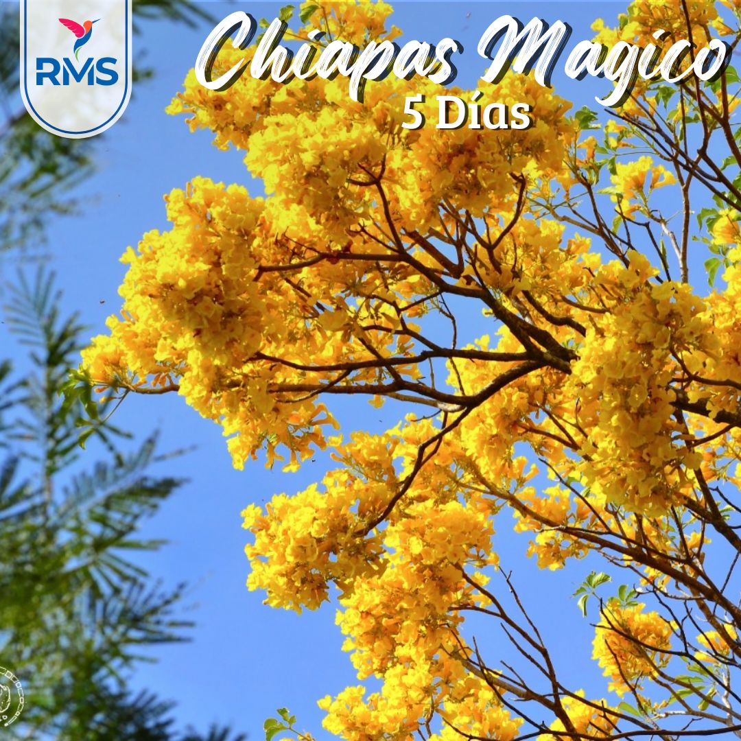 CHIAPAS MAGICO 5 & 4 NOCHES