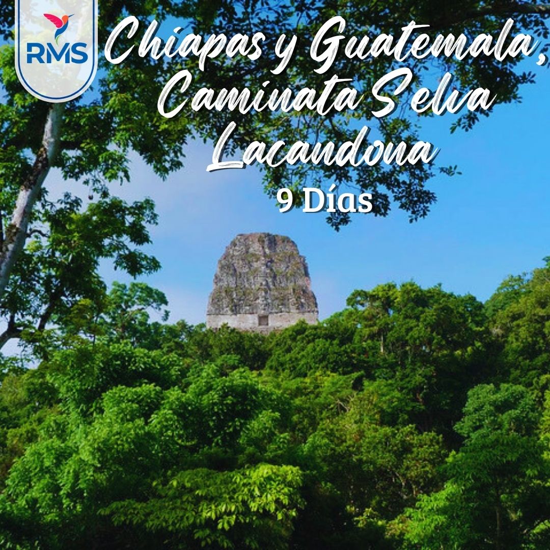 CHIAPAS Y GUATEMALA, CAMINATA SELVA LACANDONA 9 DIAS & 8 NOCHES