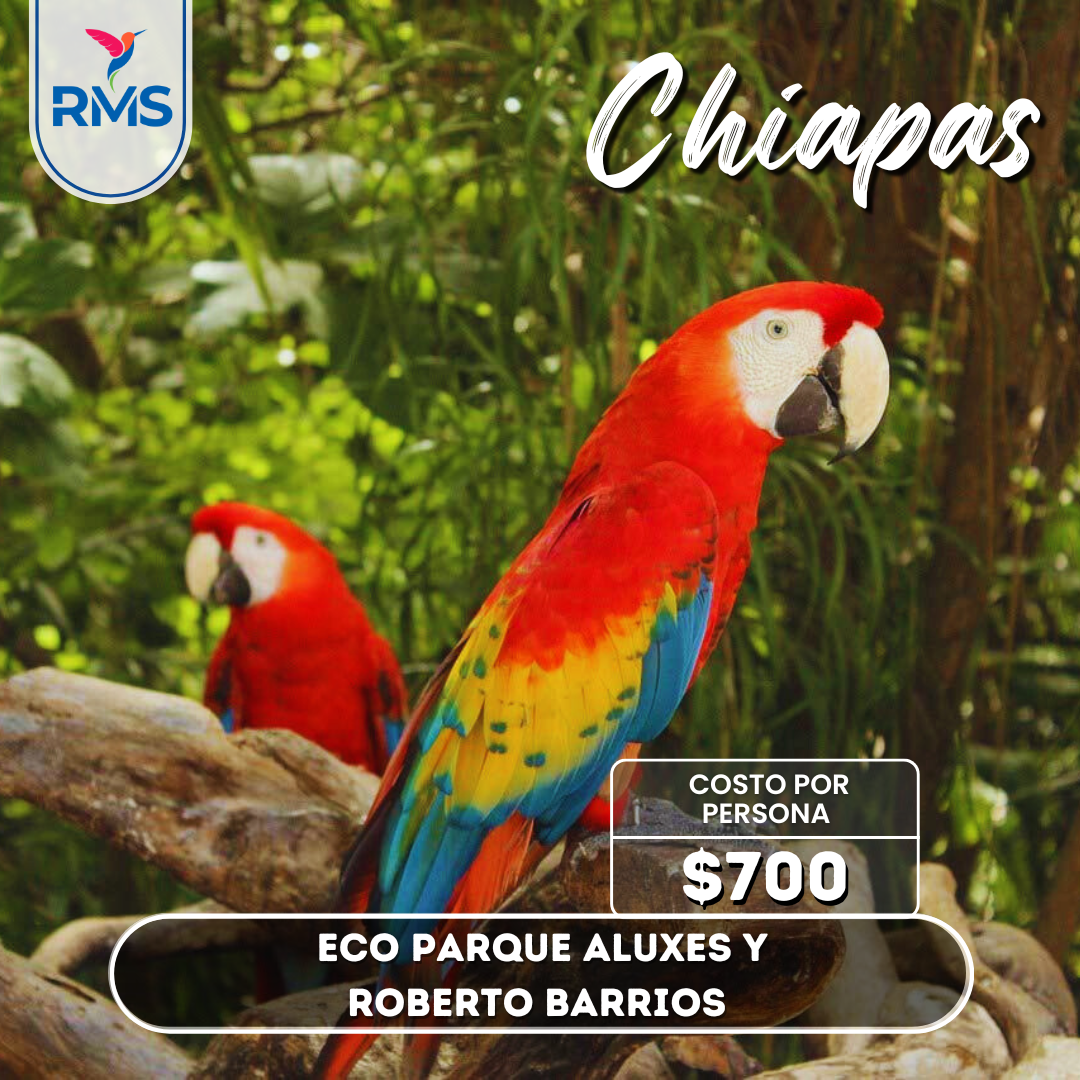 Eco parque Aluxes y Cascadas de Roberto Barrios