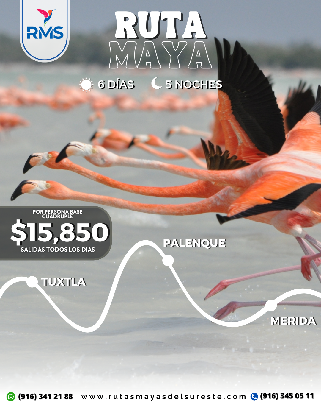 RUTA MAYA